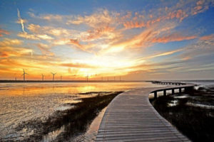 Gaomei Wetlands