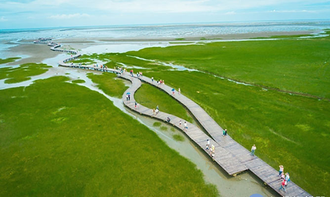 Gaomei Wetlands a