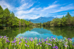 Yunshansui-Natural-Ecological-Farm