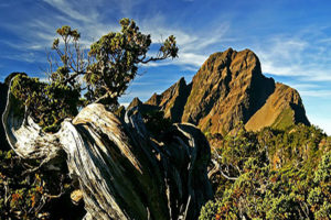 Yushan National Park