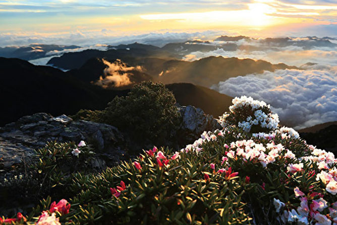 Yushan National Park