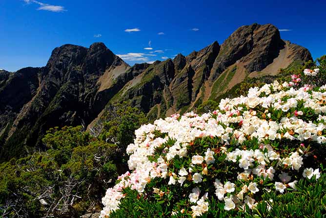 Yushan National Park